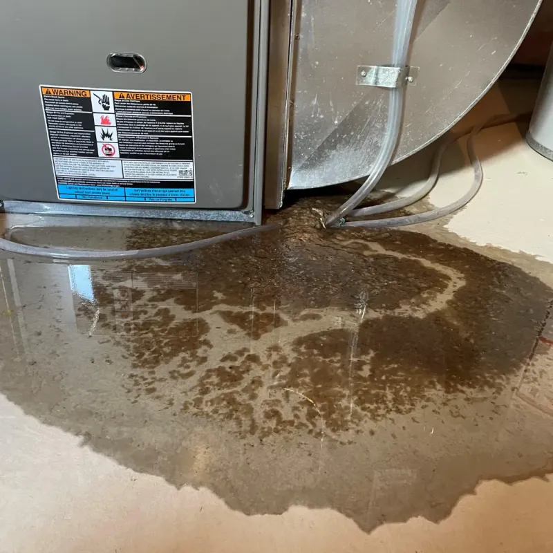 Appliance Leak Cleanup in Calloway County, KY