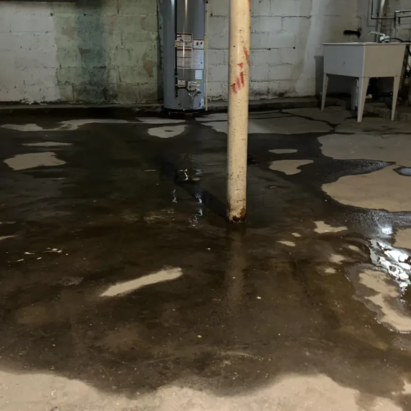 Emergency Water Extraction And Removal in Calloway County, KY